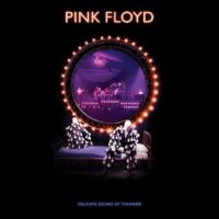 【全新黑膠3LP】平克佛洛伊德Pink Floyd-雷霆之聲Delicate Sound of Thunder/180g