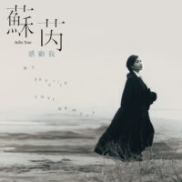 【全新黑膠 2LP】蘇芮-感動我...[12"+7"]/180g/日本壓片/流水編號/華納/5044197027857