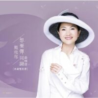 【全新黑膠2LP】鳳飛飛-想要彈同調 最精選/180g/日本壓片/典藏流水編號/Warner