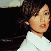 【全新黑膠】孫燕姿-風箏/180g/美國刻片/湖水綠彩膠/Warner/5054197121807