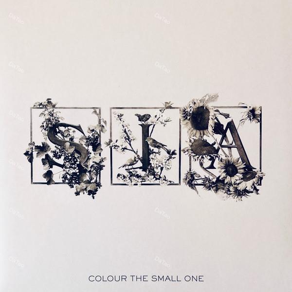【全新限量白&透明彩膠2LP】希雅 Sia-生命的色彩 Colour The Small One/RSD 2024：圖片 2