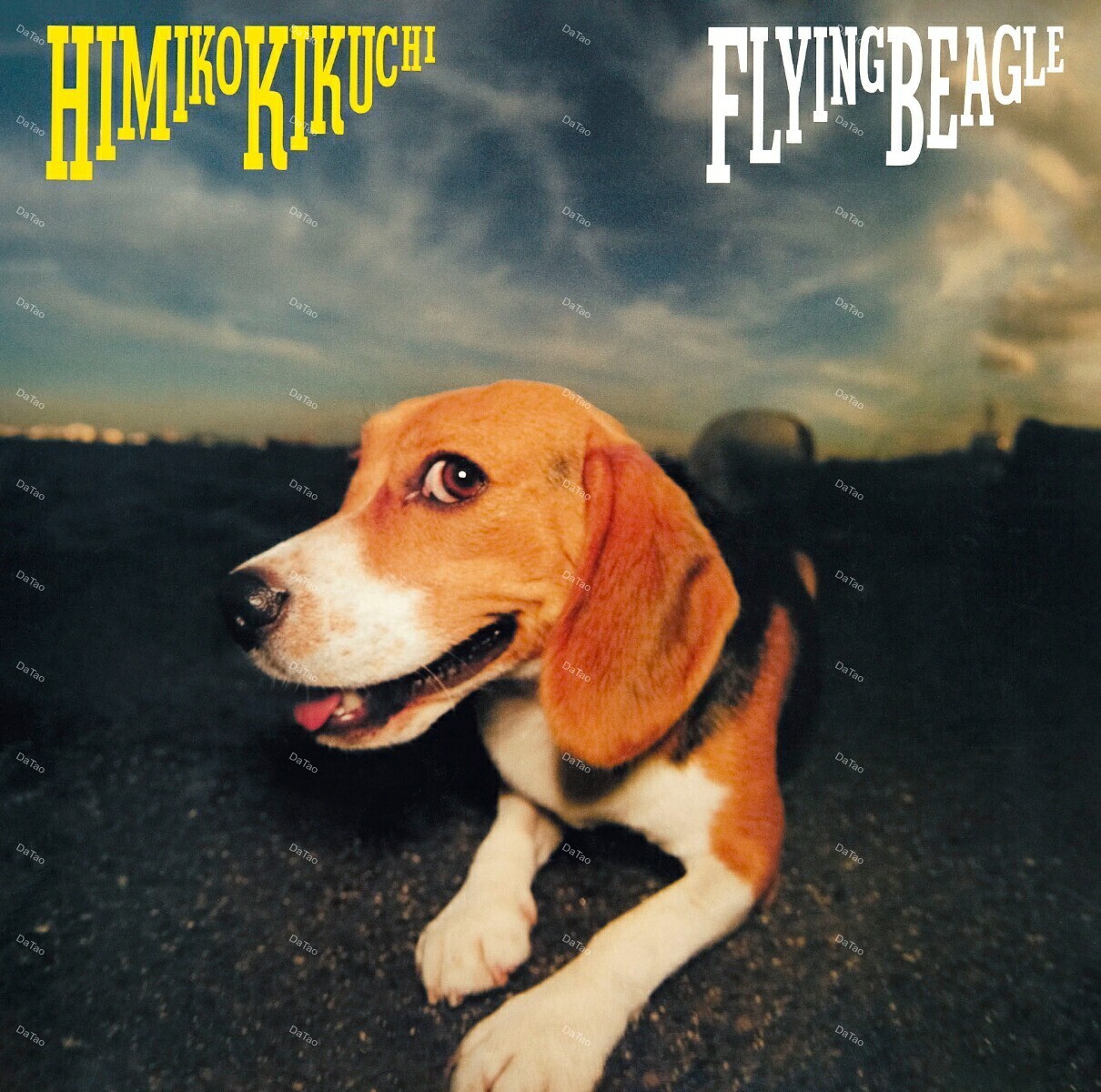 【全新限量黑膠】菊池ひみこ KIKUCHI Himiko - Flying Beagle/180g/MHJL-440