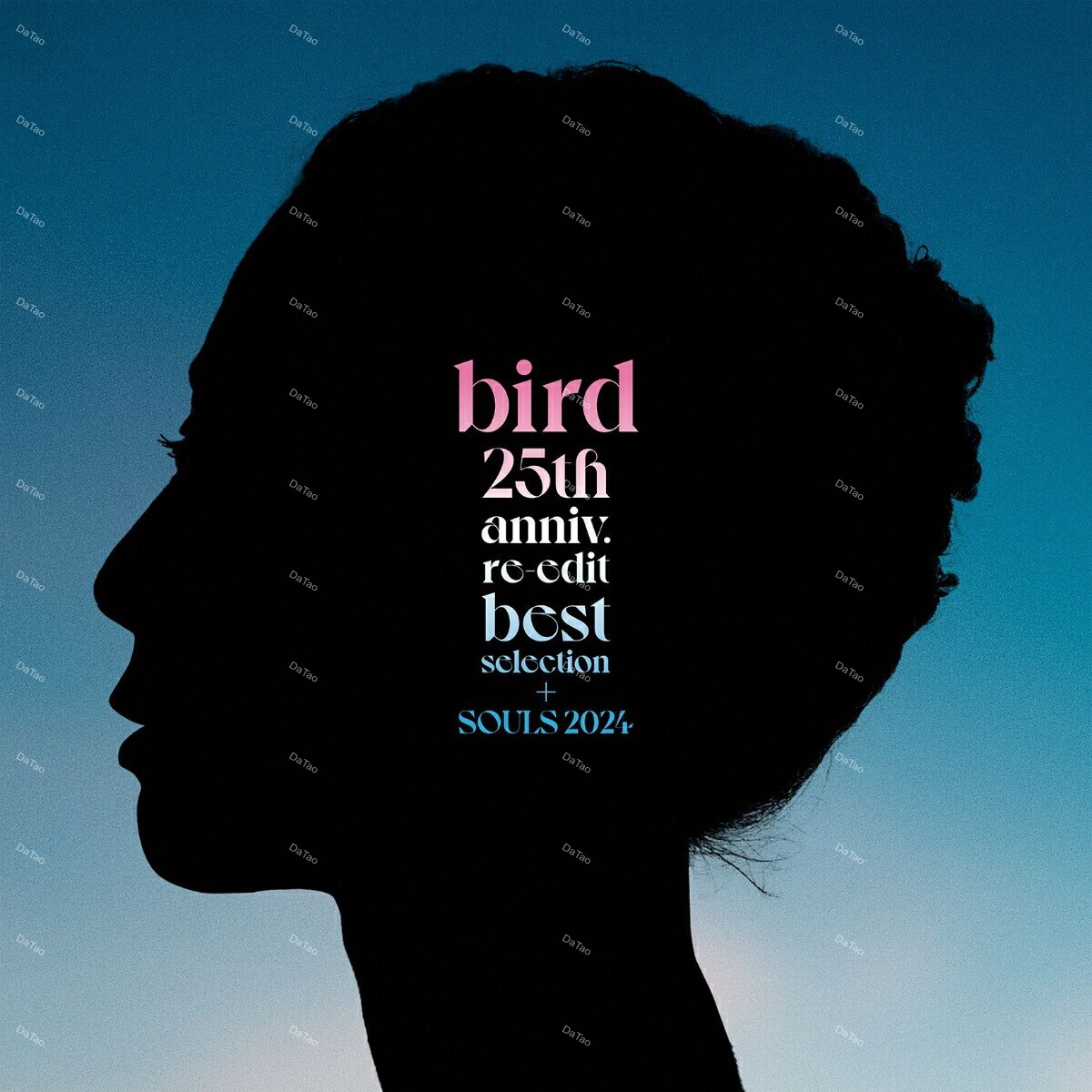 【全新限量黑膠】Bird-25th Anniv. Re-edit Best Selection + Souls 2024