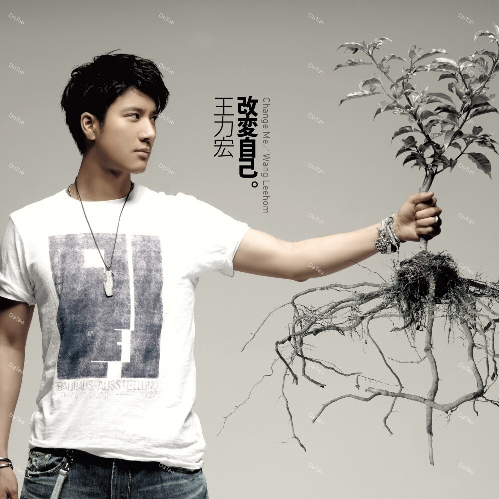 【預購】【全新灰色彩膠】王力宏 Leehom Wang-改變自己 Change Me/180g/德國壓片/母帶重製：圖片 2