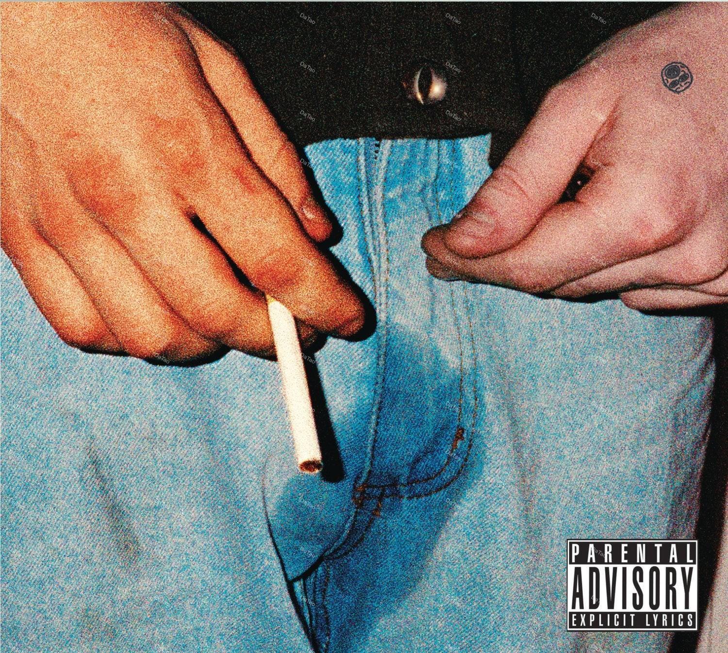 【全新透藍彩膠2LP】造物主泰勒 Tyler, The Creator - 甜心炸彈 Cherry Bomb/十週年：圖片 2