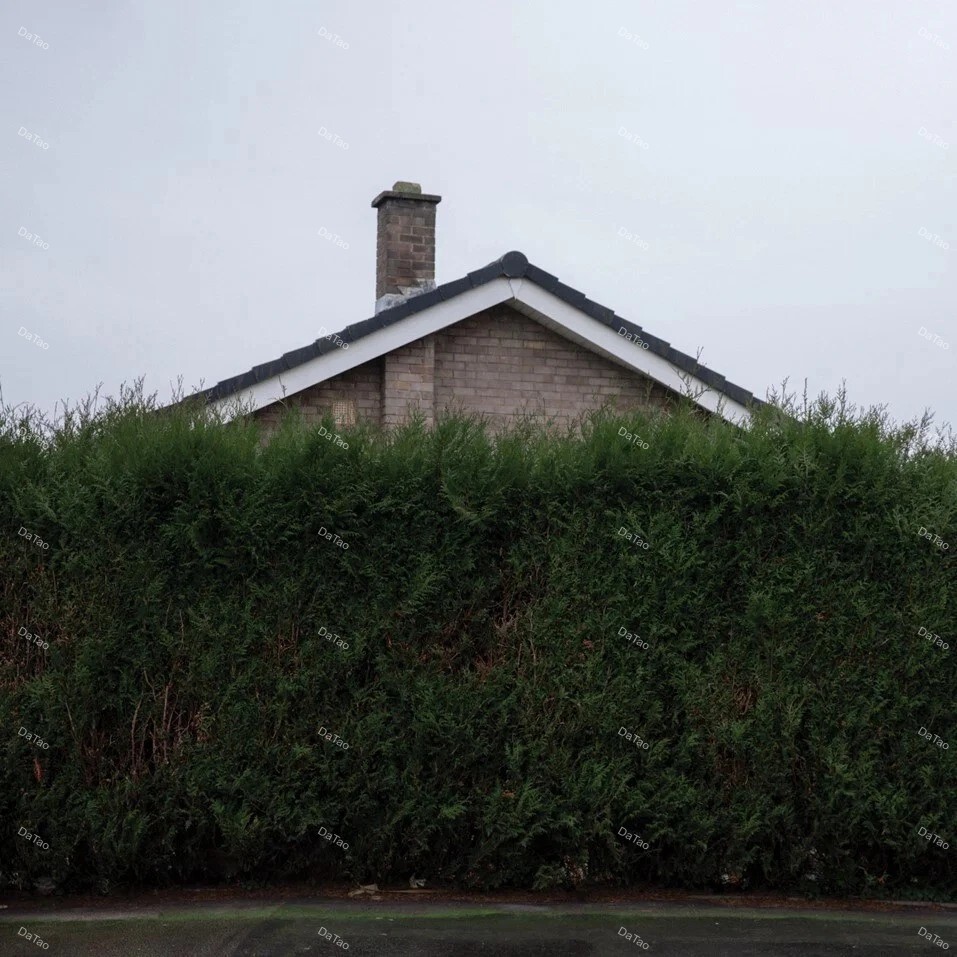 【全新限量白彩膠3LP】The 1975 - Still... At Their Very Best/DH02204：圖片 2