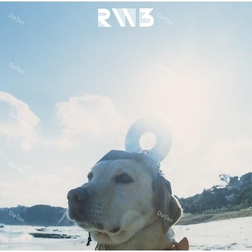 【全新黑膠】RADWIMPS 3 ～無人島に持っていき忘れた一枚/重量盤/UPJH-20076/7/環球