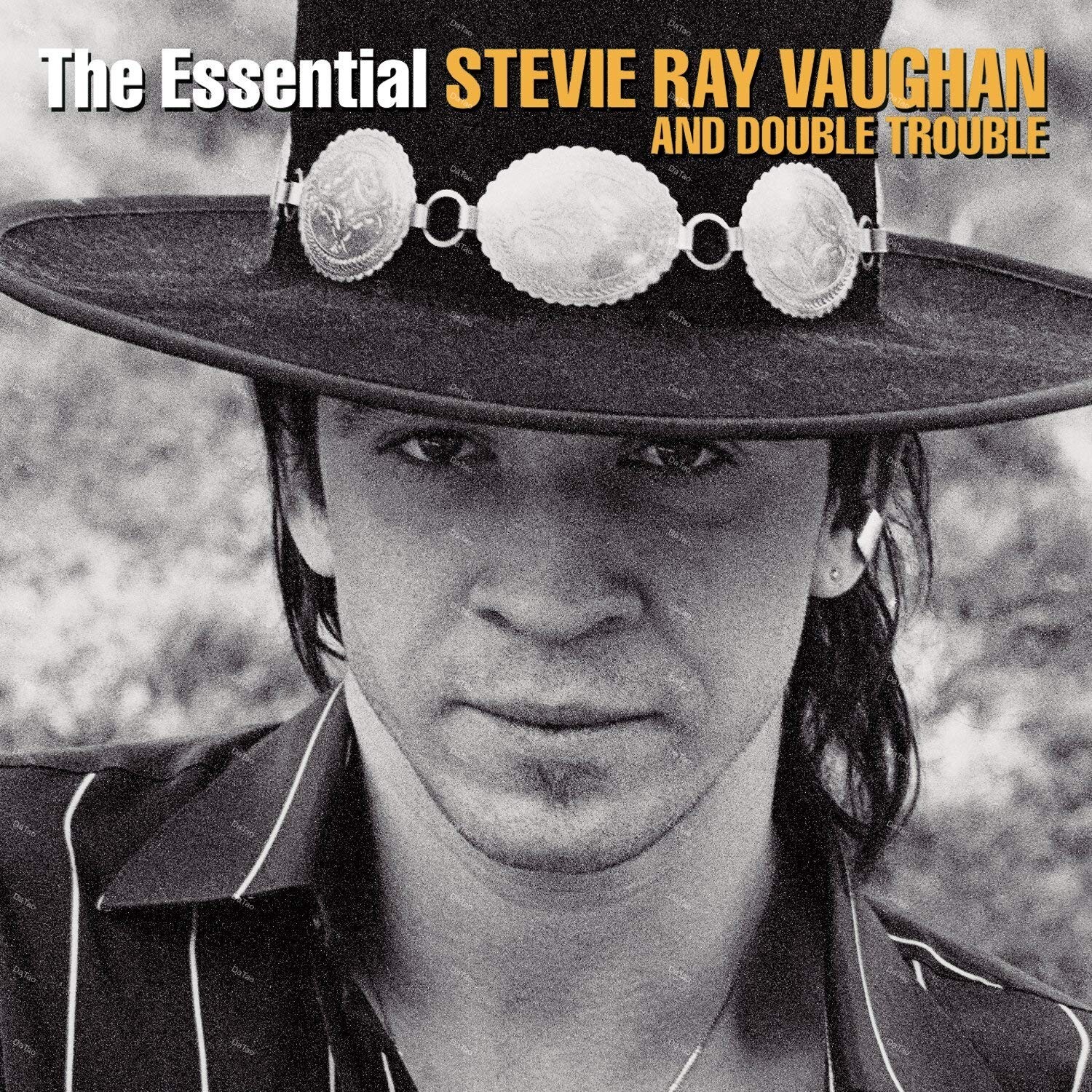 【全新黑膠2LP】Stevie Ray Vaughan & Double Trouble-The Essential