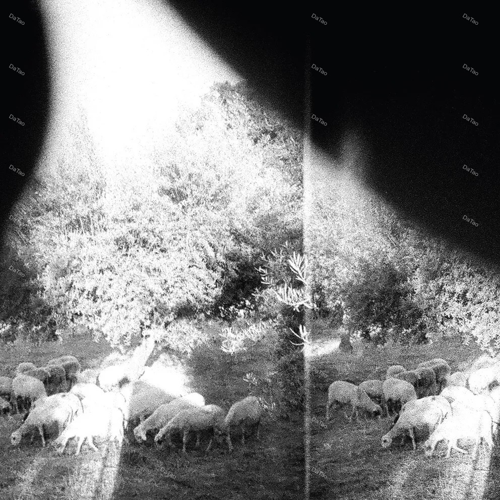 【全新黑膠】Godspeed You! Black Emperor - Asunder, Sweet And…