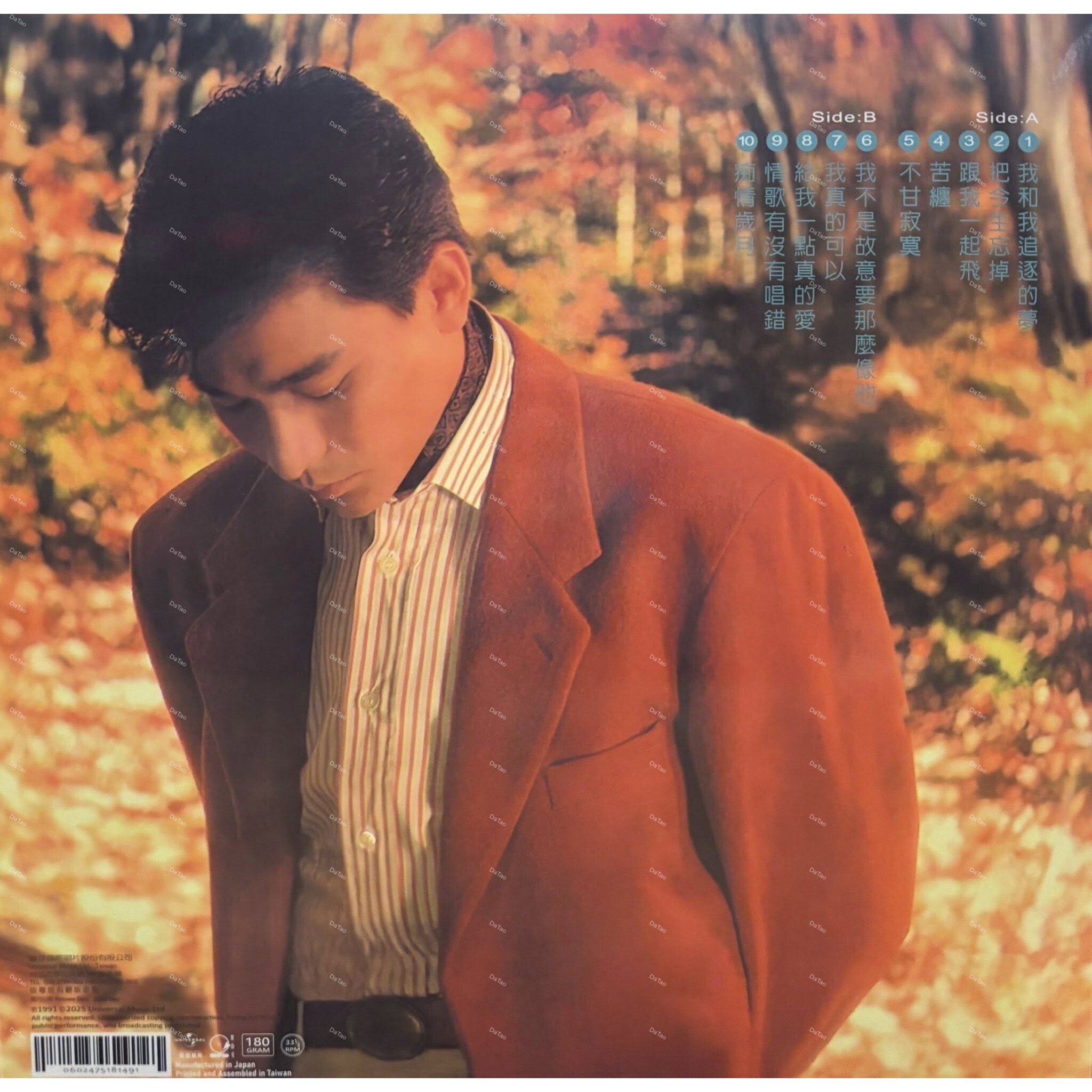 【全新限量黑膠】劉德華 Andy Lau-我和我追逐的夢 The dream that I'm dreaming of：圖片 2