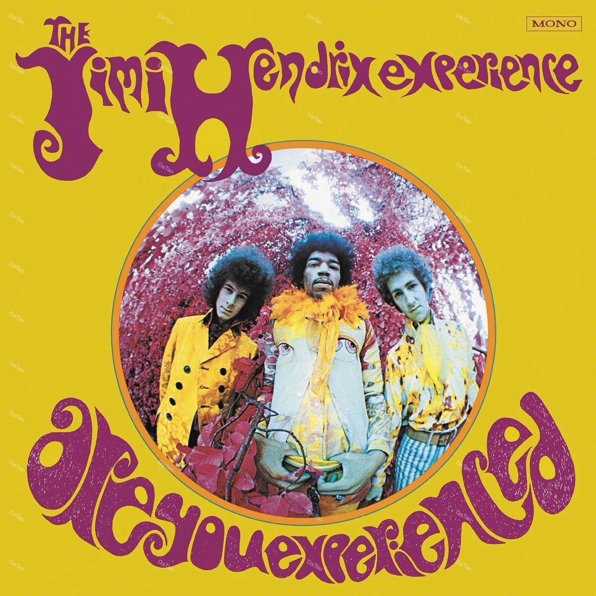 【全新黑膠】The Jimi Hendrix Experience-Are You Experienced/180g
