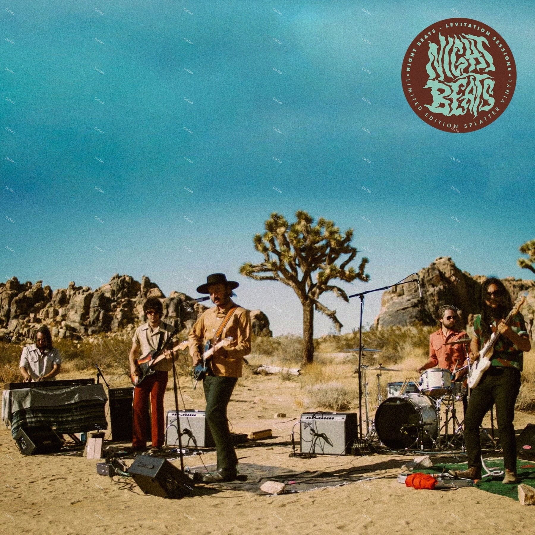 【全新綠底潑濺彩膠】夜行野獸 Night Beats - Levitation Sessions/RVRB-057:圖片 2