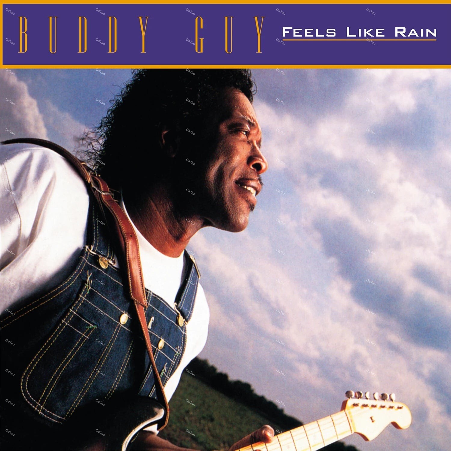 【全新黑膠】巴弟蓋 Buddy Guy - Feels Like Rain/180g/MOVLP2764