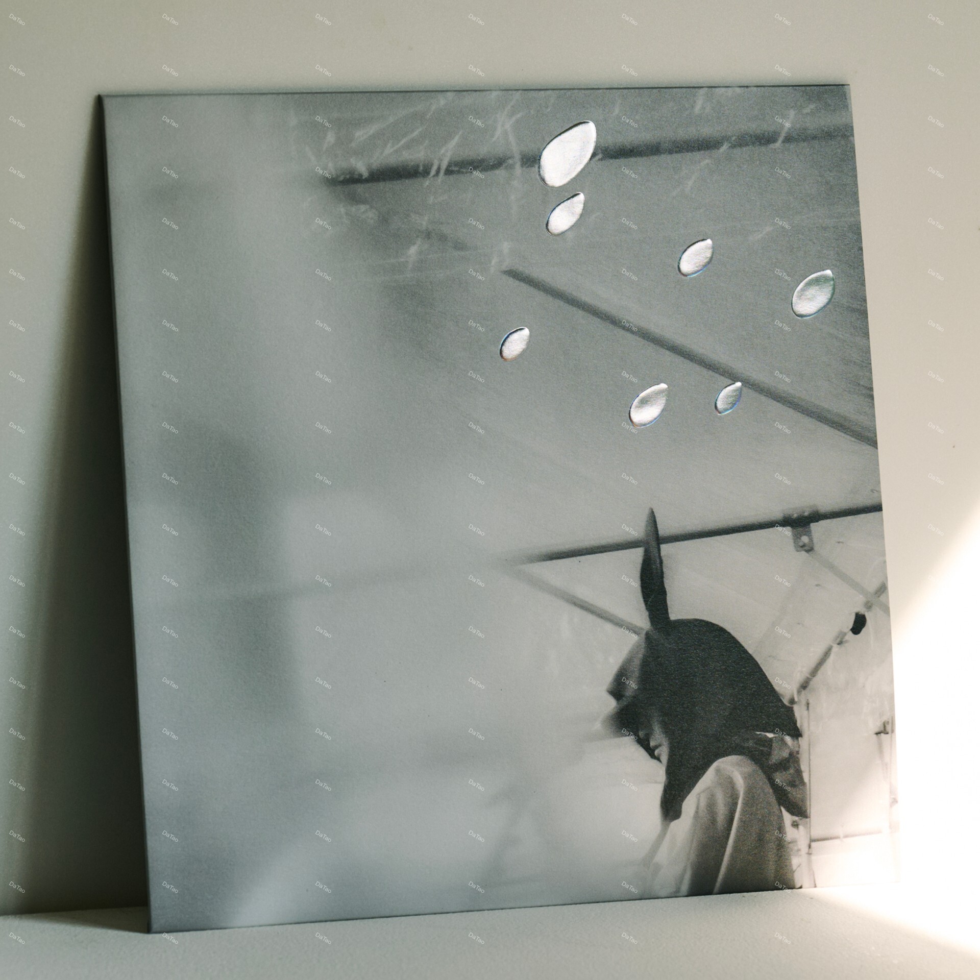 【黑膠全新黑膠】小澤健二 OZAWA Kenji - 日比谷野音の小沢健二 オフィシャル海賊盤