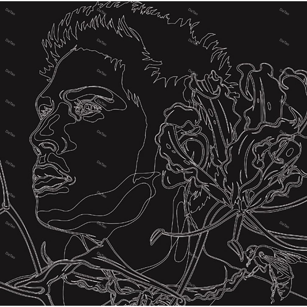 【全新限量黑膠2LP】平井堅 HIRAI Ken - 生命之歌 LIFE is…/BVJL-128/SONY