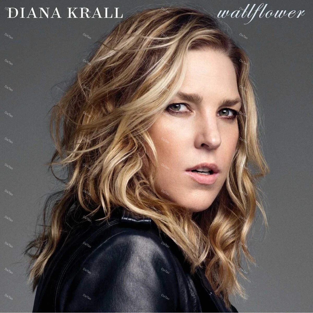 【全新黑膠2LP】戴安娜克瑞兒 Diana Krall - 美麗年代 Wallflower/180g