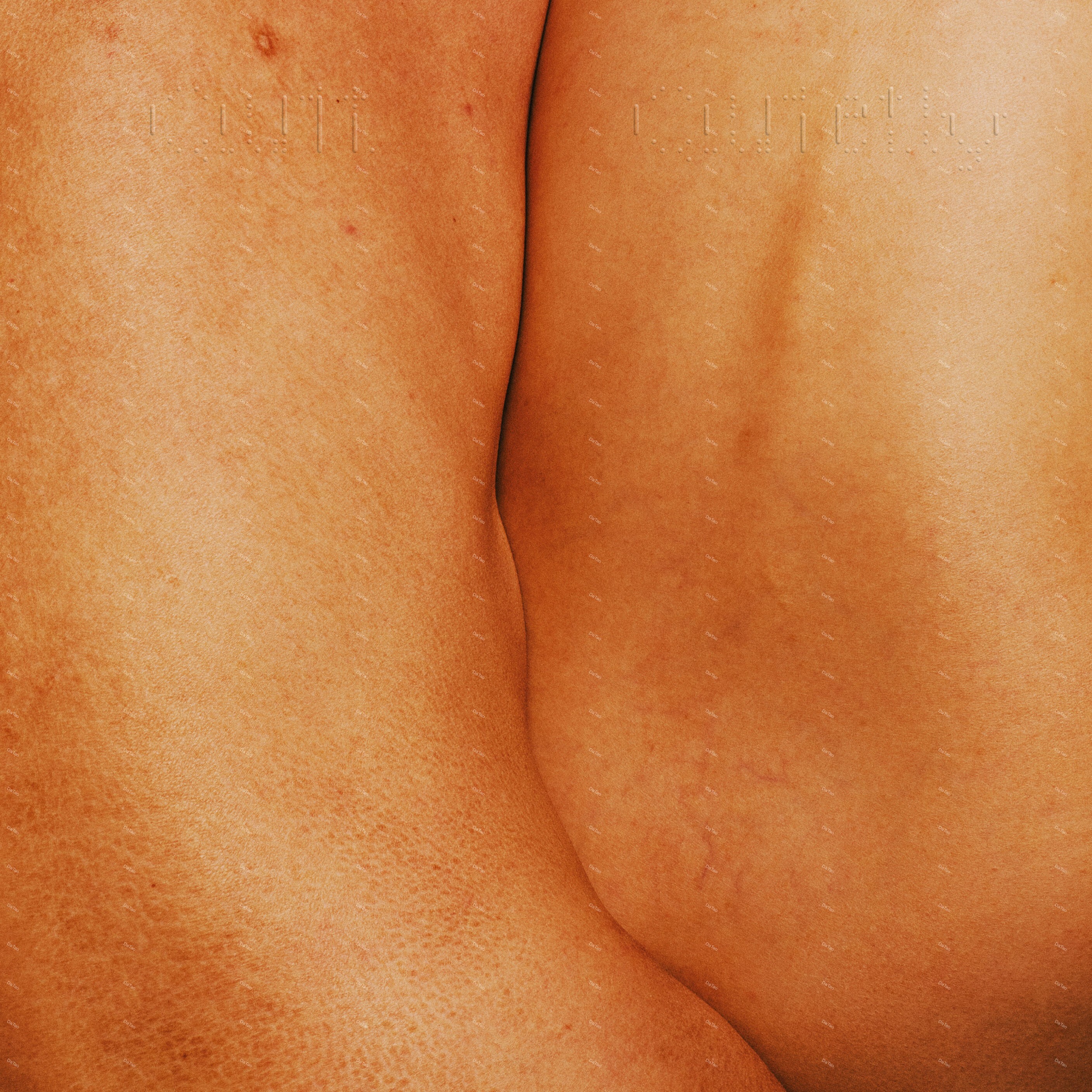 【預購】【全新透明膠】落日飛車 Sunset Rollercoaster-悄悄消消 Quit Quietly/夕陽音樂