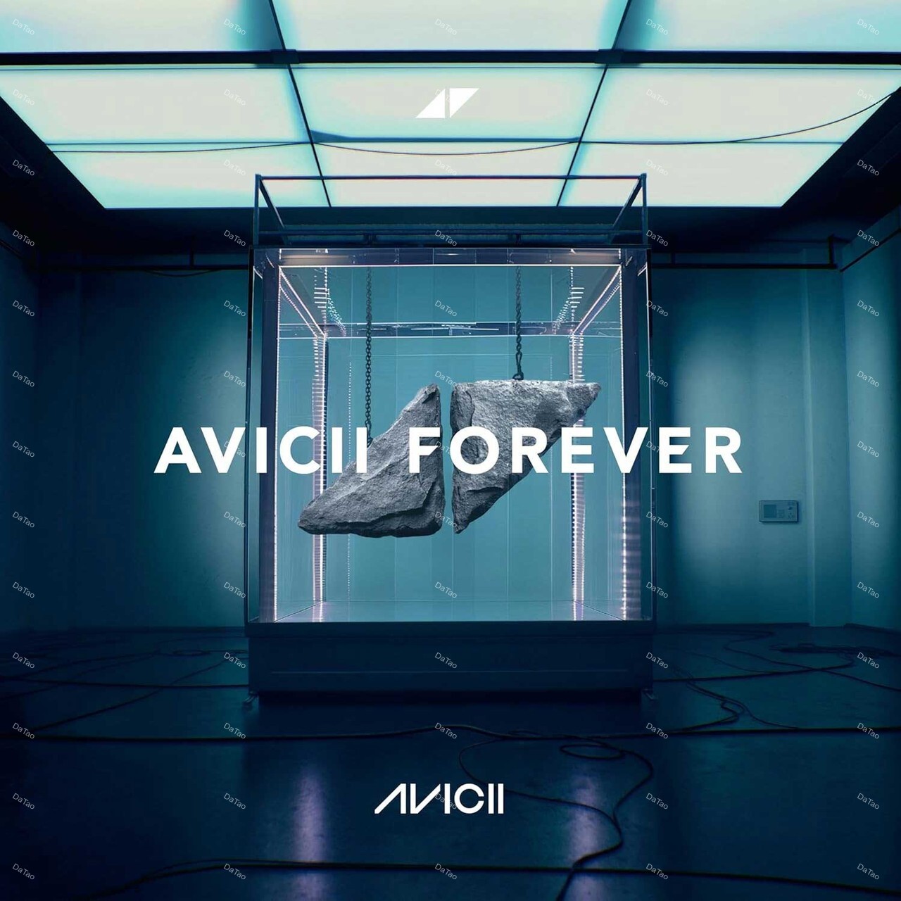 【全新黑膠2LP】艾維奇 Avicii - 永遠的艾維奇 Avicii Forever/00602478117091