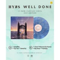 【全新45轉藍色漩渦彩膠】HYBS - Well Done/ET-52-25/Earthtone Records