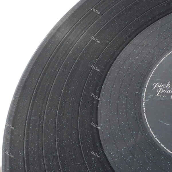 【全新限量黑底亮粉彩膠45轉】粉紅豹女孩 PinkPantheress - 誰鳥你 To hell with it：圖片 3