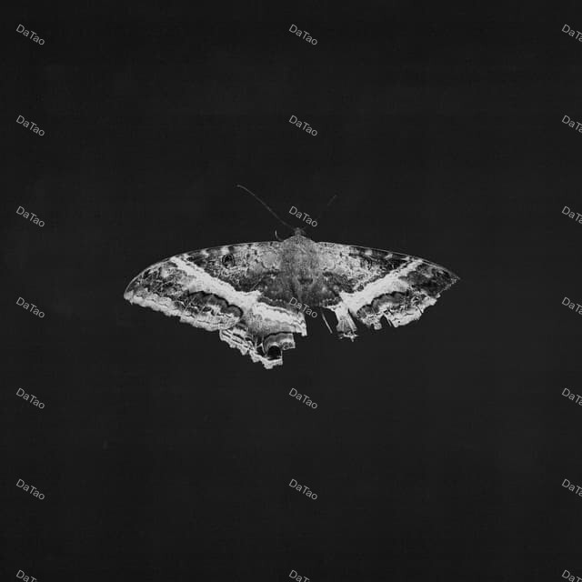 【全新黑膠2LP】肯卓克拉瑪- 美國蝴蝶夢 Kendrick Lamar - To Pimp A Butterfly