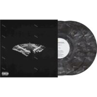 【全新限量金屬混色膠2LP】肯卓克拉瑪 Kendrick Lamar-美國蝴蝶夢 To Pimp A Butterfly