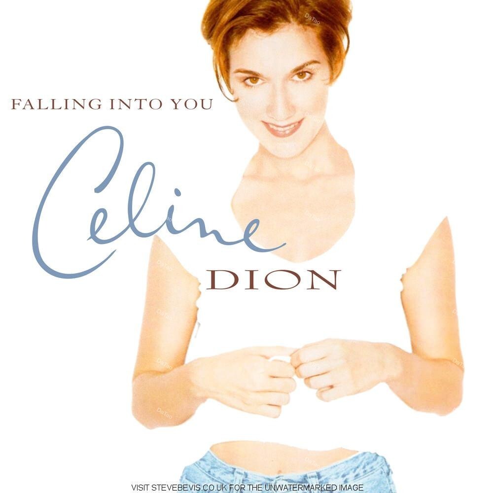 【全新限量黑膠2LP】席琳狄翁 Celine Dion - Falling Into You/30週年
