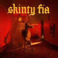 【全新黑膠】溫泉特區 Fontaines D.C. - Skinty Fia/PTKF3016-1