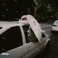 【全新黑膠2LP】血橙 Blood Orange - 黑天鵝 Negro Swan/WIGLP421/Domino