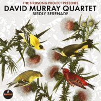 【全新黑膠2LP】大衛莫瑞 David Murray Quartet - 鳥語夜情 Birdly Serenade