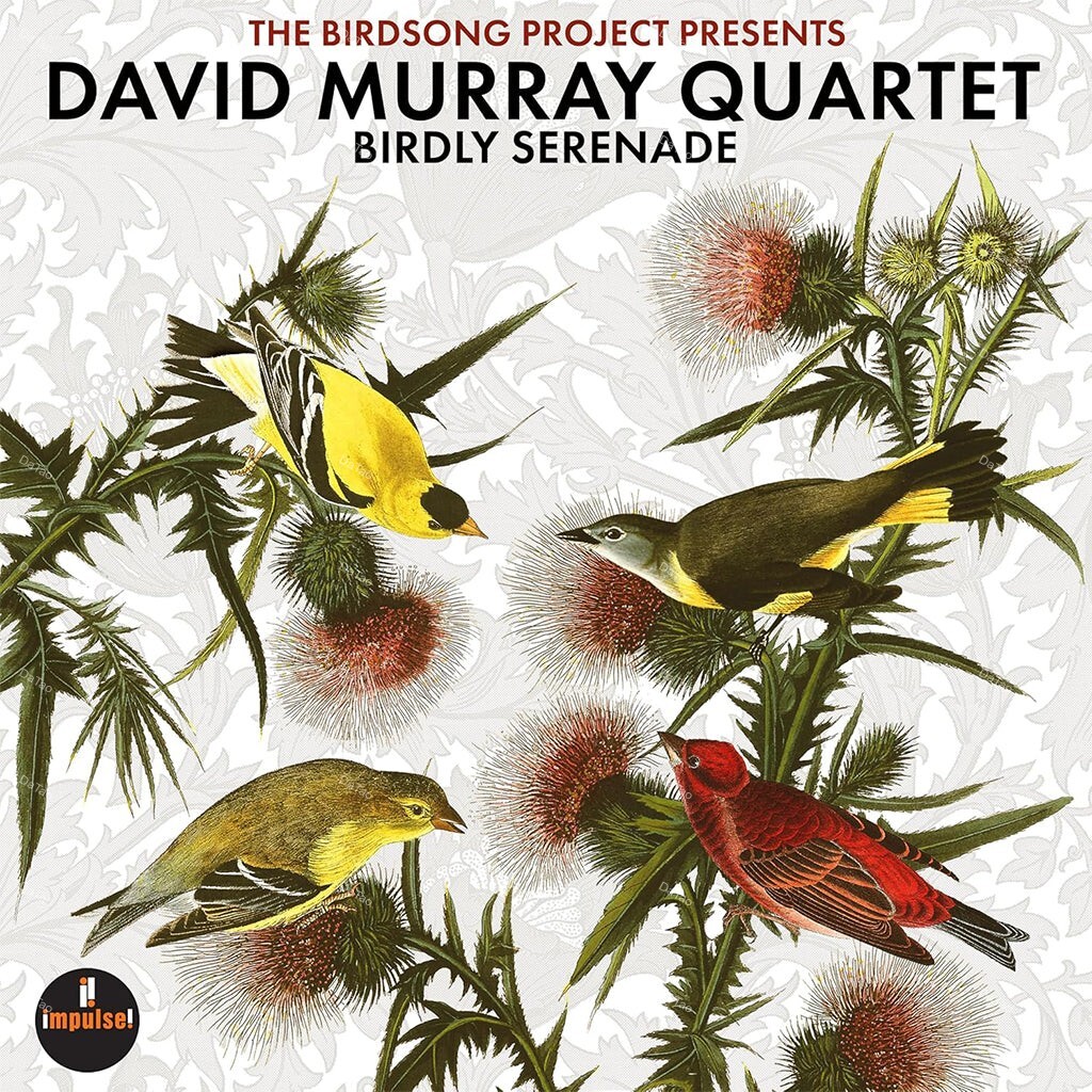 【全新黑膠2LP】大衛莫瑞 David Murray Quartet - 鳥語夜情 Birdly Serenade