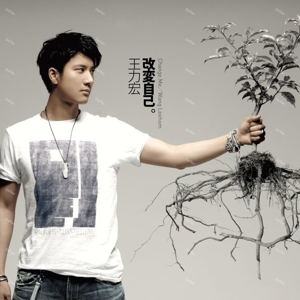 【預購】【全新限量灰彩膠】王力宏 Leehom Wang - 改變自己 Change Me/180g/德國壓片:圖片 2
