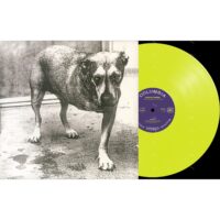【全新限量黃彩膠2LP】束縛艾利斯 Alice In Chains - 同名專輯/30週年/19802848691
