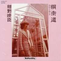 【全新黑膠45轉7吋單曲】細野晴臣 HOSONO Haruomi - 絹街道 / ハニー・ムーン
