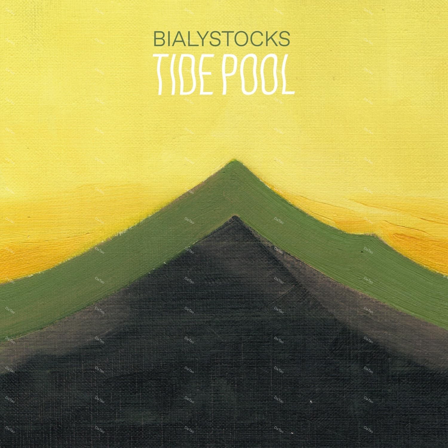 【全新限量黑膠EP】Bialystocks - Tide Pool/180g/PCJA-00210