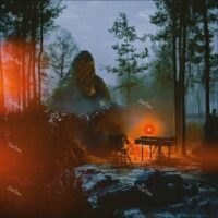 【全新限量黑膠】Bialystocks-Songs For The Cryptids/180g/PCJA00212