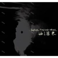 【全新黑膠2LP】宋冬野 - 再想想/MODERN SKY/MSJPA-1002/180g
