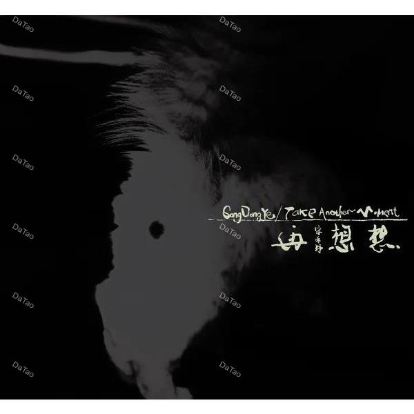 【全新黑膠2LP】宋冬野 - 再想想/MODERN SKY/MSJPA-1002/180g