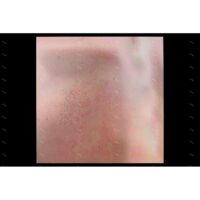 【全新白彩膠】聲子蟲 Bugs of Phonon - 遺心病 Long Haul/180g/BP2510001