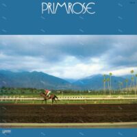 【全新限量黑膠】鈴木宏昌 SUZUKI Hiromasa - PRIMROSE/TEA-31