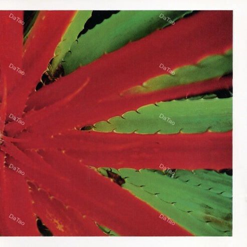 【全新黑膠2LP】Jejune - This Afternoons Malady/NUM937