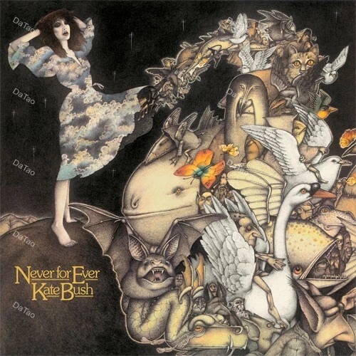 【全新黑膠】凱特布希 Kate Bush - Never For Ever/180g/0190295593889