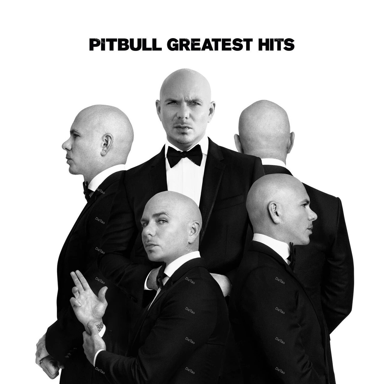 【全新藍彩膠】嘻哈鬥牛梗 Pitbull - 最狂神曲精選 Greatest Hits/19958442581:圖片 2