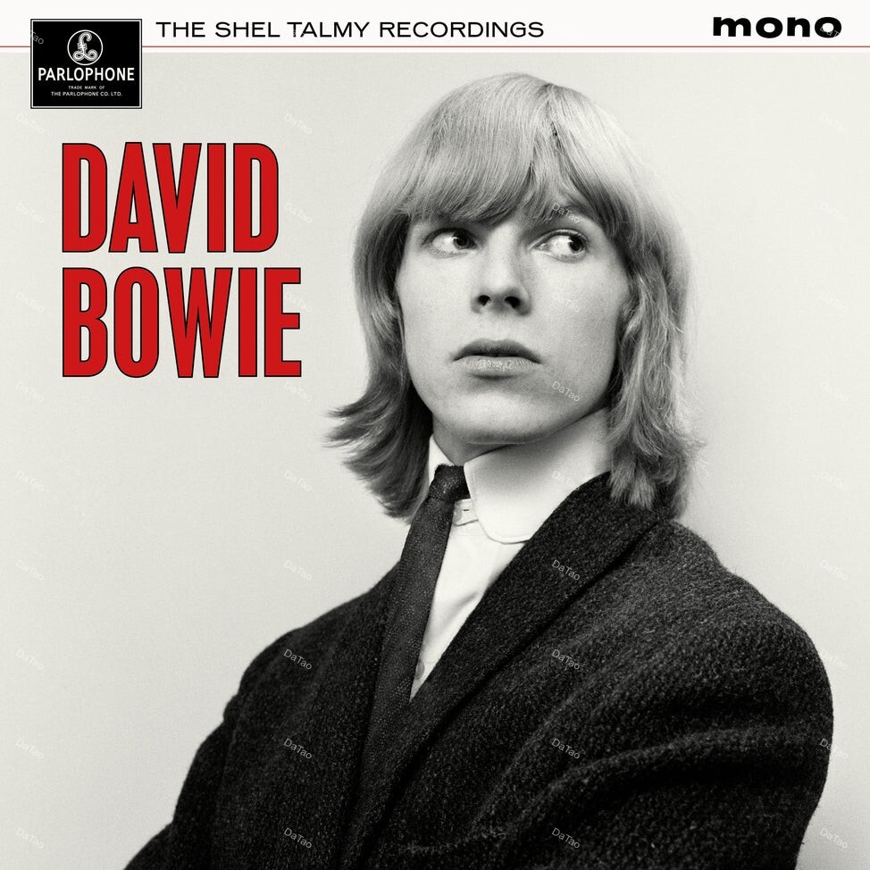 【全新黑膠】大衛鮑伊 David Bowie-謝爾塔爾米珍稀錄音集 The Shel Talmy Recordings