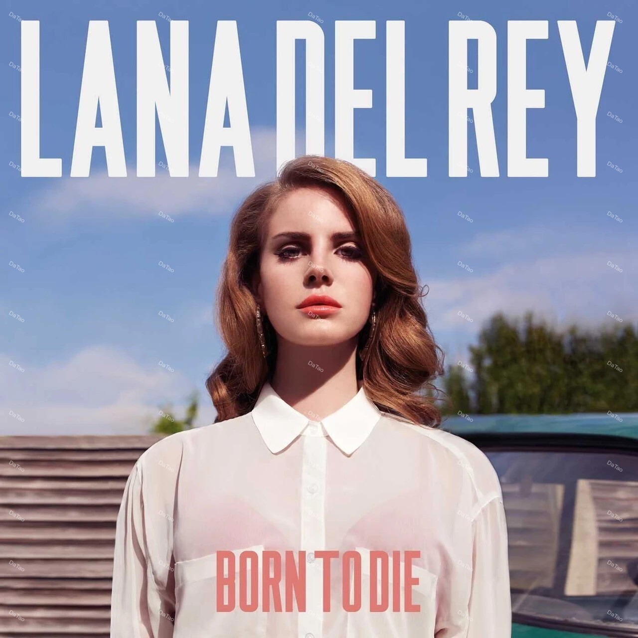 【全新黑膠2LP】拉娜德芮 Lana Del Rey - 生死相守 Born To Die/2793424